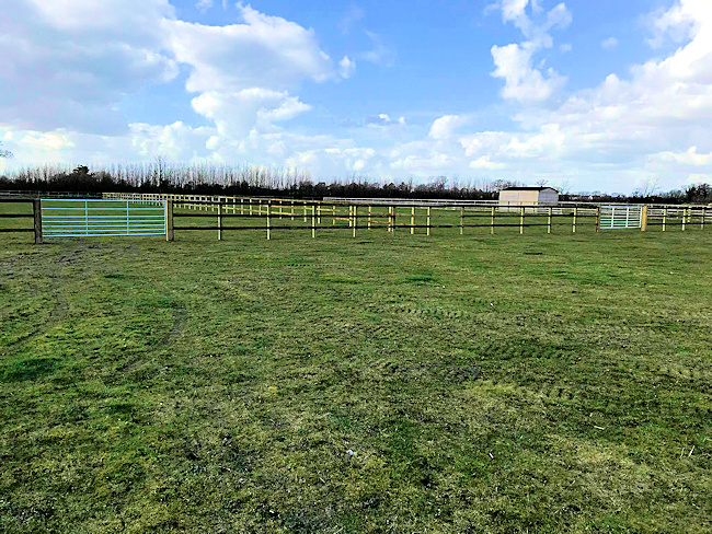 Equestrian | Paddock Services Equestrian Ground Care Colchester Essex